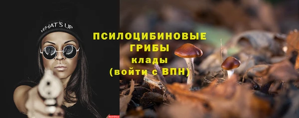 спиды Заволжье