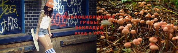 таблы Беломорск