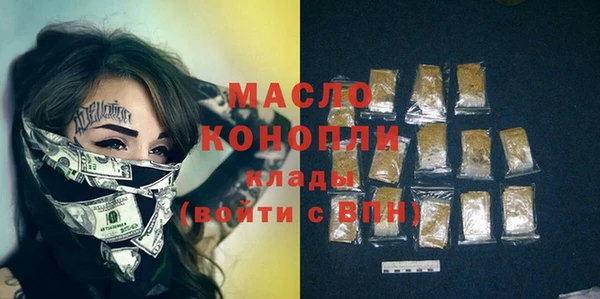 гашик Каменка